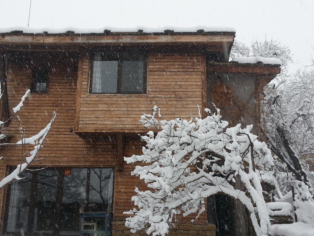 The Four Houses Kostenkovtsi Quarto foto